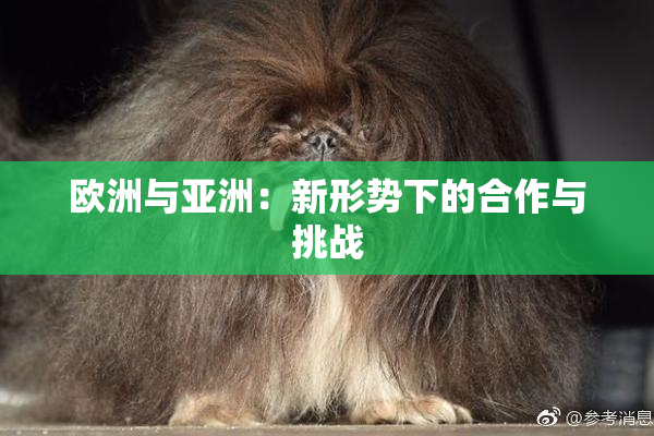 欧洲与亚洲：新形势下的合作与挑战