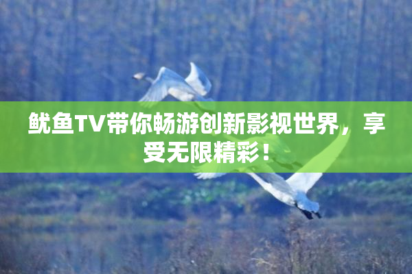 鱿鱼TV带你畅游创新影视世界，享受无限精彩！