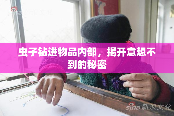 虫子钻进物品内部，揭开意想不到的秘密