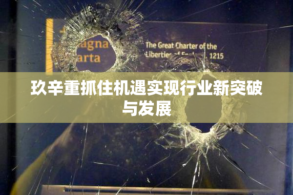 玖辛重抓住机遇实现行业新突破与发展