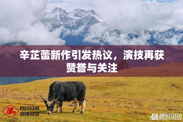 辛芷蕾新作引发热议，演技再获赞誉与关注