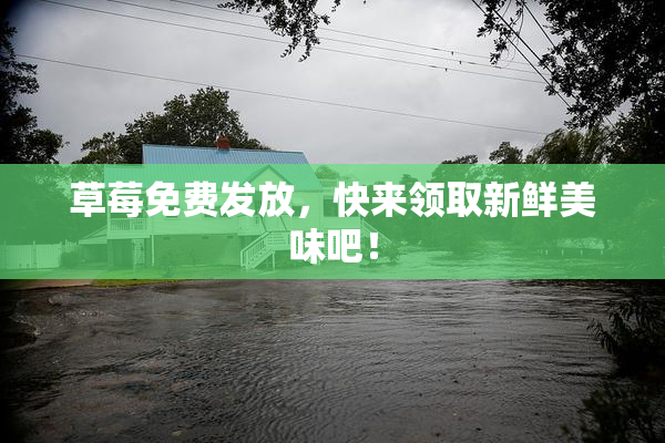 草莓免费发放，快来领取新鲜美味吧！