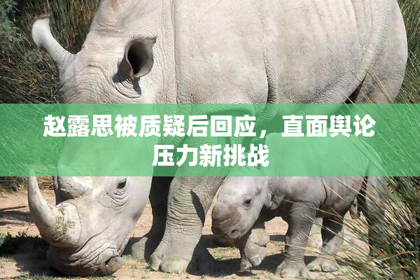 赵露思被质疑后回应，直面舆论压力新挑战
