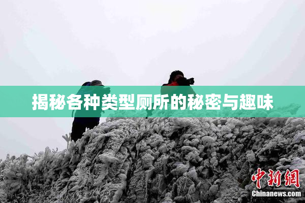 揭秘各种类型厕所的秘密与趣味