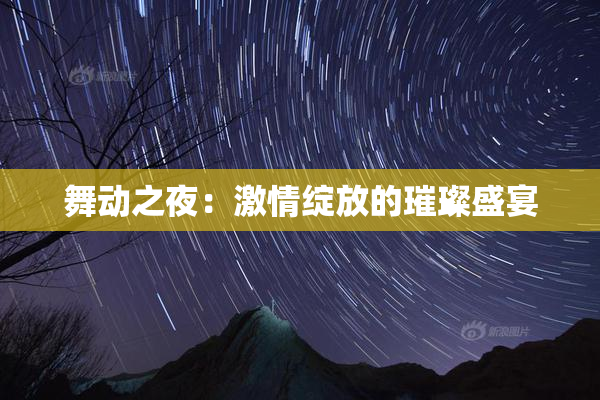 舞动之夜：激情绽放的璀璨盛宴