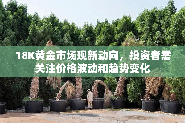 18K黄金市场现新动向，投资者需关注价格波动和趋势变化
