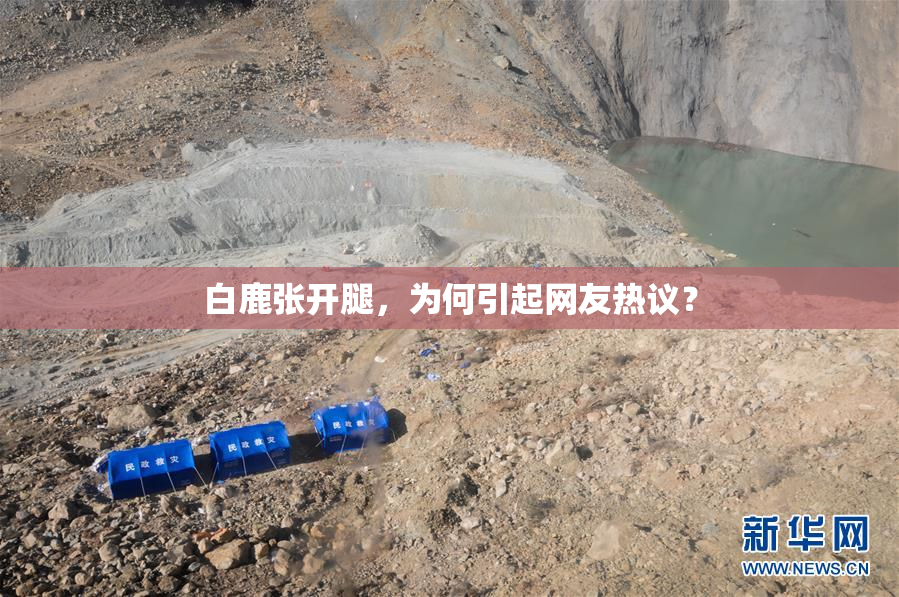 白鹿张开腿，为何引起网友热议？