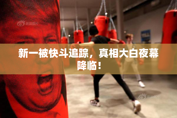 新一被快斗追踪，真相大白夜幕降临！