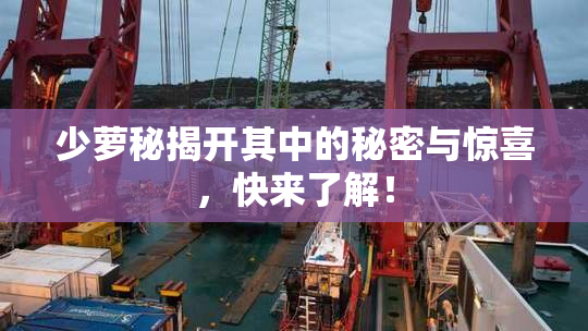 少萝秘揭开其中的秘密与惊喜，快来了解！