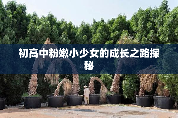 初高中粉嫩小少女的成长之路探秘
