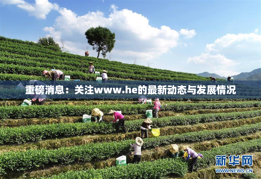 重磅消息：关注www.he的最新动态与发展情况