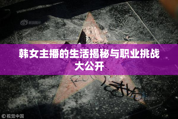 韩女主播的生活揭秘与职业挑战大公开