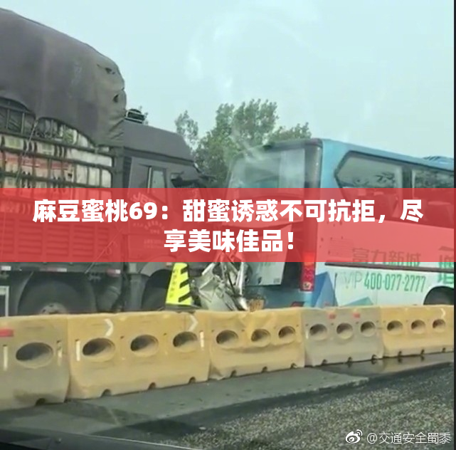 麻豆蜜桃69：甜蜜诱惑不可抗拒，尽享美味佳品！