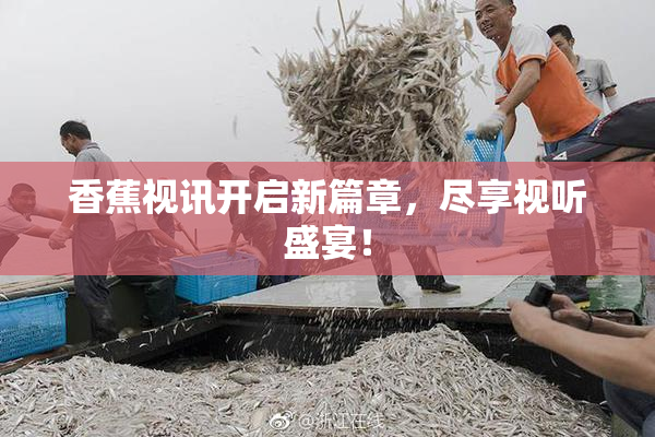 香蕉视讯开启新篇章，尽享视听盛宴！