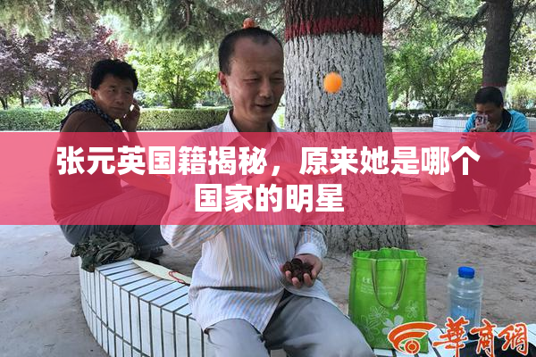张元英国籍揭秘，原来她是哪个国家的明星