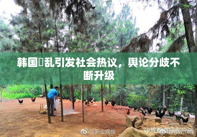 韩国婬乱引发社会热议，舆论分歧不断升级