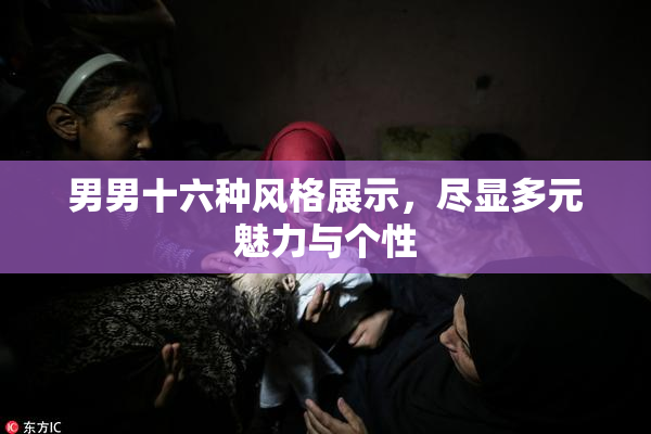男男十六种风格展示，尽显多元魅力与个性