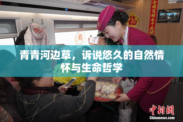 青青河边草，诉说悠久的自然情怀与生命哲学