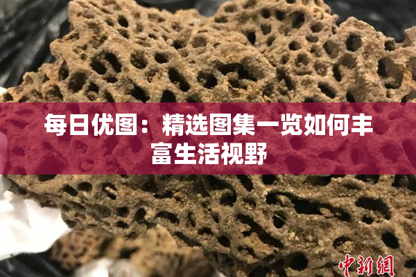 每日优图：精选图集一览如何丰富生活视野