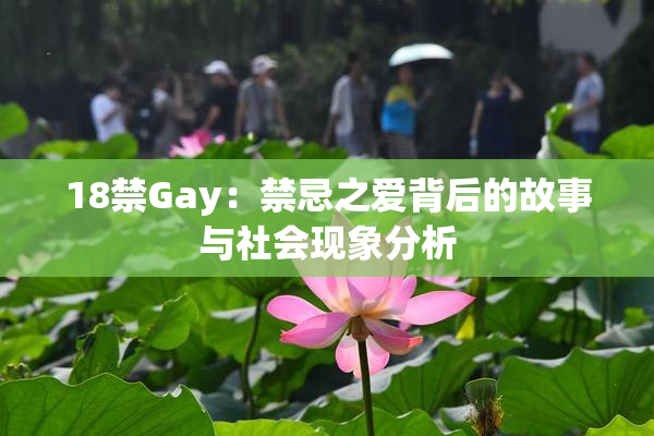 18禁Gay：禁忌之爱背后的故事与社会现象分析