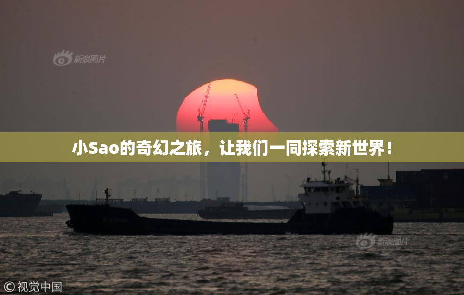 小Sao的奇幻之旅，让我们一同探索新世界！