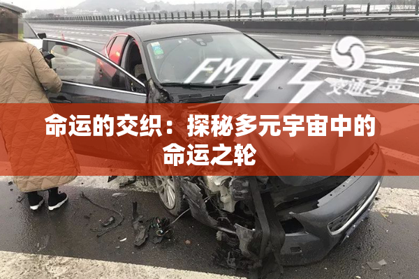 命运的交织：探秘多元宇宙中的命运之轮