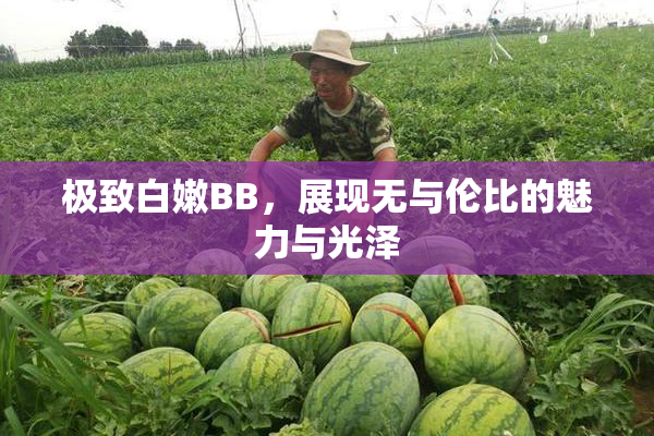 极致白嫩BB，展现无与伦比的魅力与光泽