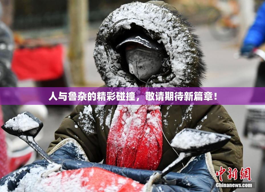 人与鲁杂的精彩碰撞，敬请期待新篇章！