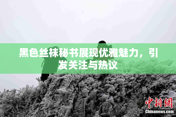 黑色丝袜秘书展现优雅魅力，引发关注与热议
