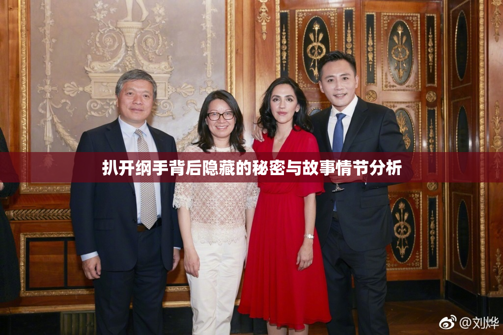扒开纲手背后隐藏的秘密与故事情节分析