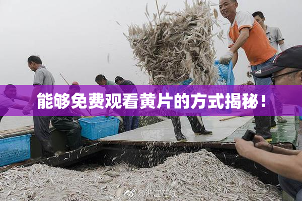 能够免费观看黄片的方式揭秘！