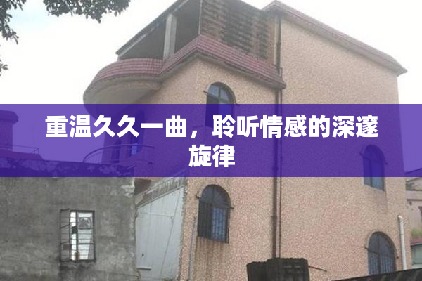重温久久一曲，聆听情感的深邃旋律