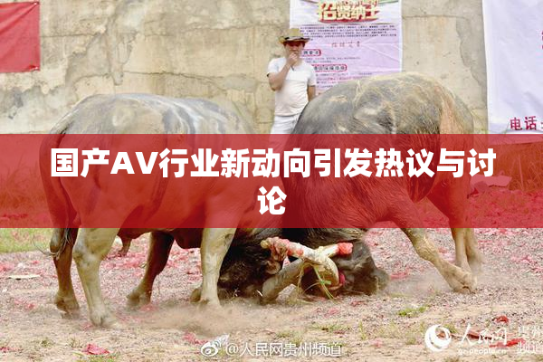国产AV行业新动向引发热议与讨论