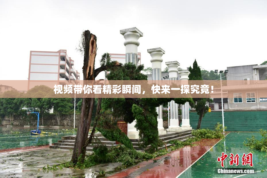 视频带你看精彩瞬间，快来一探究竟！