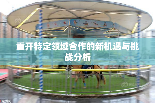 重开特定领域合作的新机遇与挑战分析