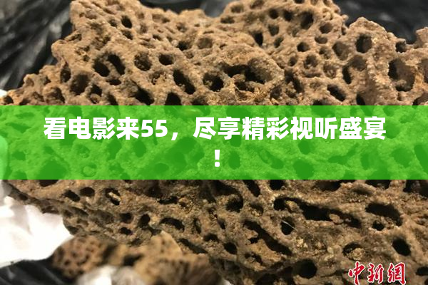 看电影来55，尽享精彩视听盛宴！