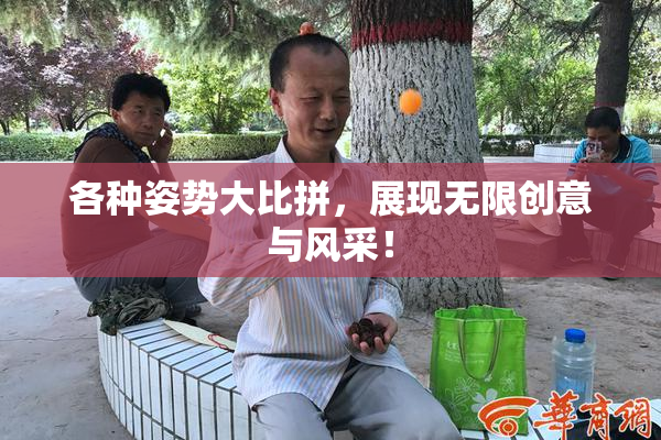 各种姿势大比拼，展现无限创意与风采！