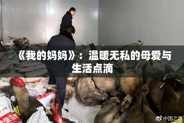 《我的妈妈》：温暖无私的母爱与生活点滴