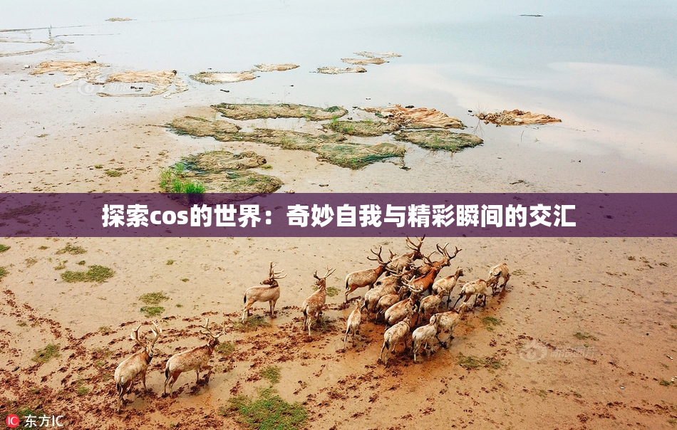 探索cos的世界：奇妙自我与精彩瞬间的交汇