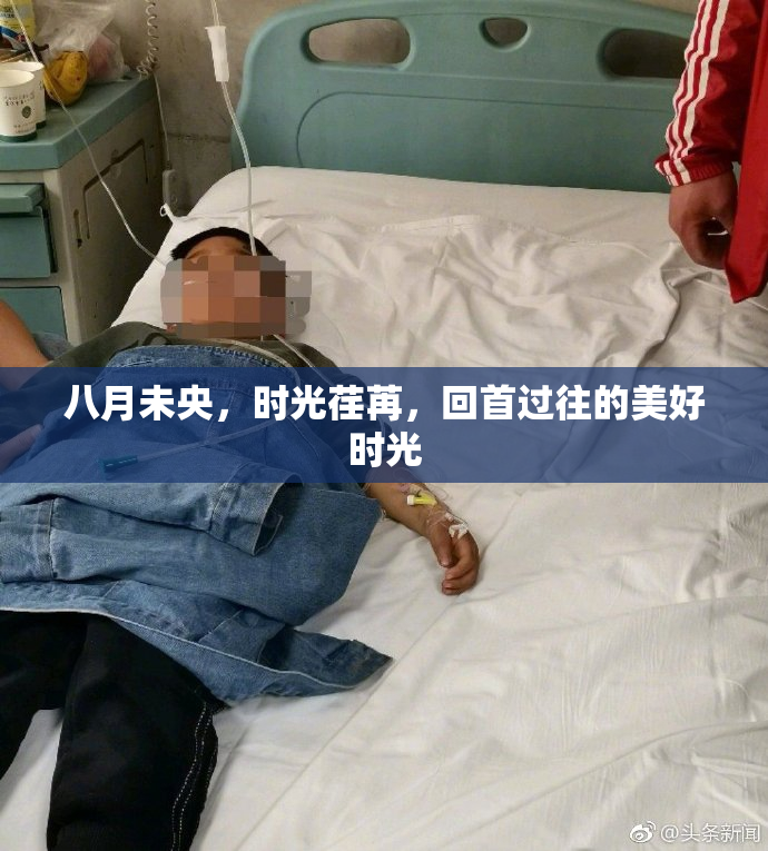 八月未央，时光荏苒，回首过往的美好时光