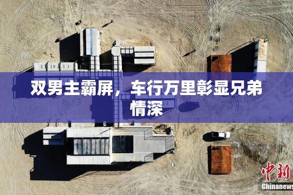 双男主霸屏，车行万里彰显兄弟情深
