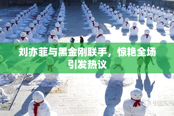 刘亦菲与黑金刚联手，惊艳全场引发热议