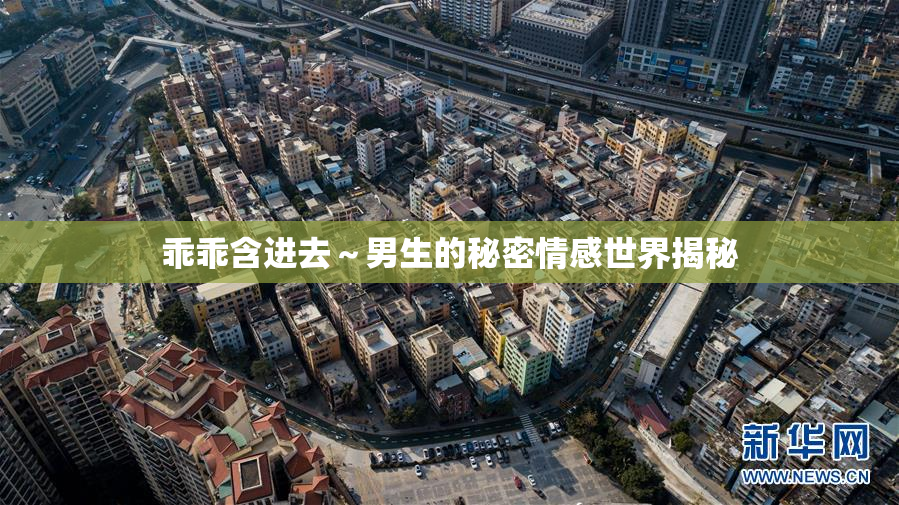 乖乖含进去～男生的秘密情感世界揭秘