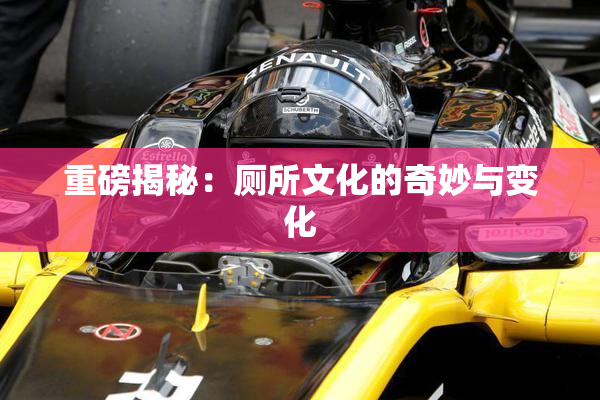 重磅揭秘：厕所文化的奇妙与变化