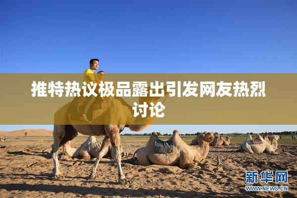 推特热议极品露出引发网友热烈讨论