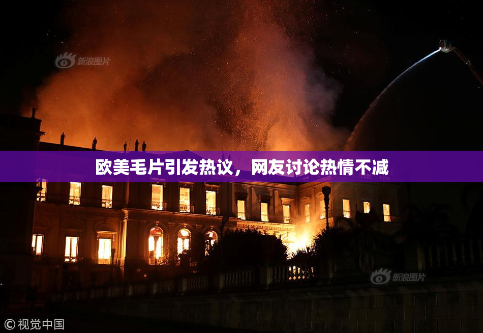 欧美毛片引发热议，网友讨论热情不减