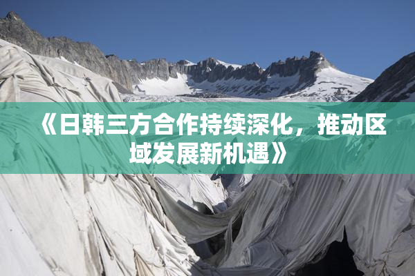 《日韩三方合作持续深化，推动区域发展新机遇》