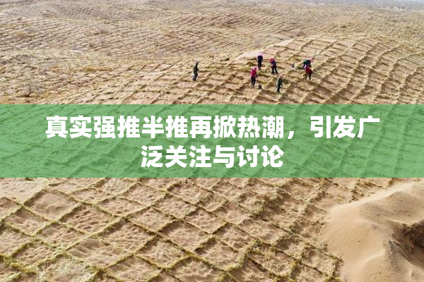 真实强推半推再掀热潮，引发广泛关注与讨论