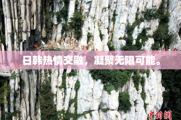 日韩热情交融，凝聚无限可能。