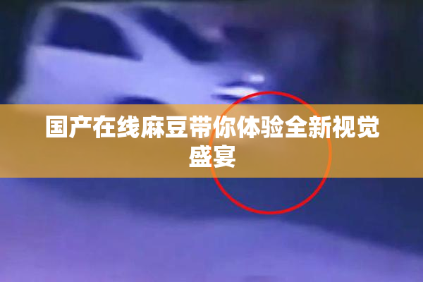 国产在线麻豆带你体验全新视觉盛宴